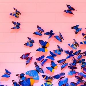 Meet your Posher, Catherine